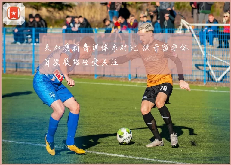 美加澳新青训体系对比 孩子留学体育发展路径受关注