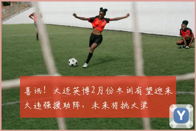 喜讯！大连英博2月份冬训有望迎来久违强援助阵，未来将挑大梁