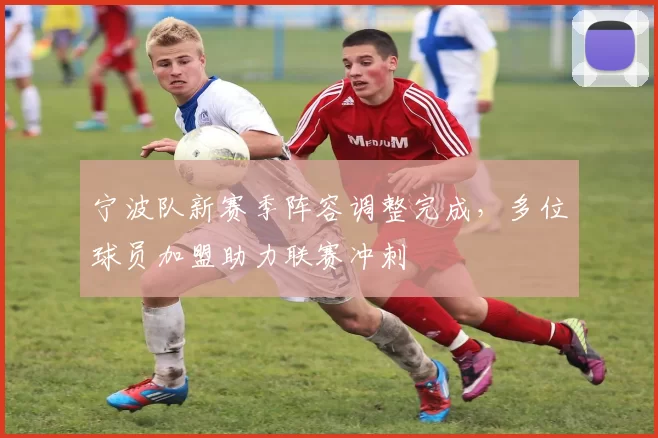 宁波队新赛季阵容调整完成，多位球员加盟助力联赛冲刺