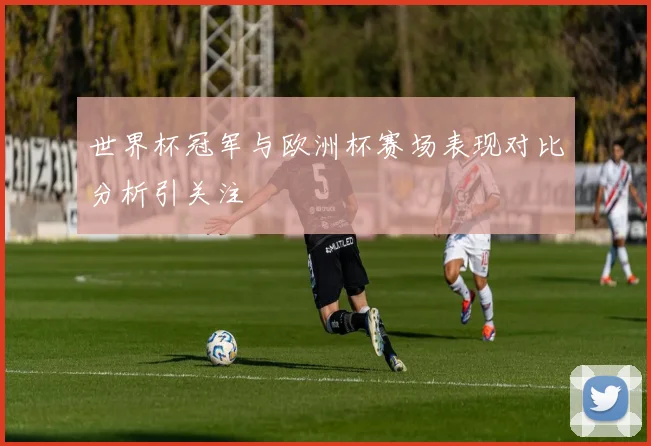 世界杯冠军与欧洲杯赛场表现对比分析引关注