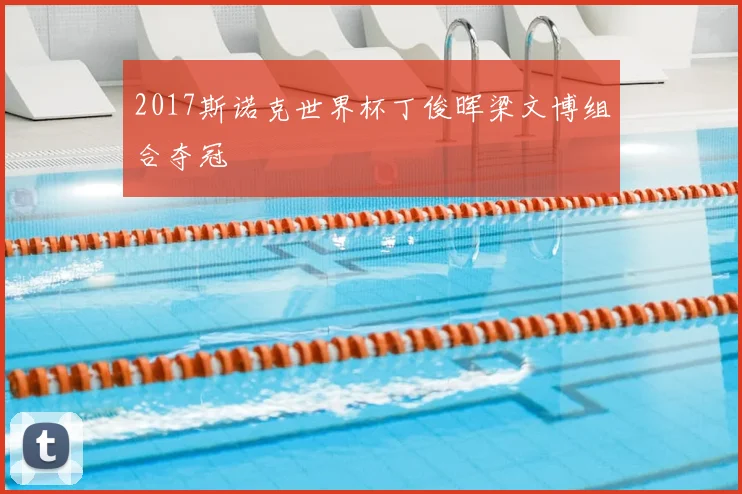 2017斯诺克世界杯丁俊晖梁文博组合夺冠